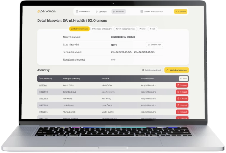 Application user interface